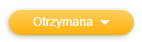 Przycisk statusu faktury kosztowej Otrzymana
