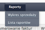 lista raporów w systemie