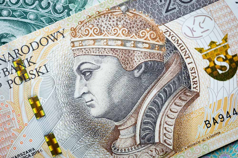 Banknot studwuzłotowy z wizerunkiem Zygmunta I Starego