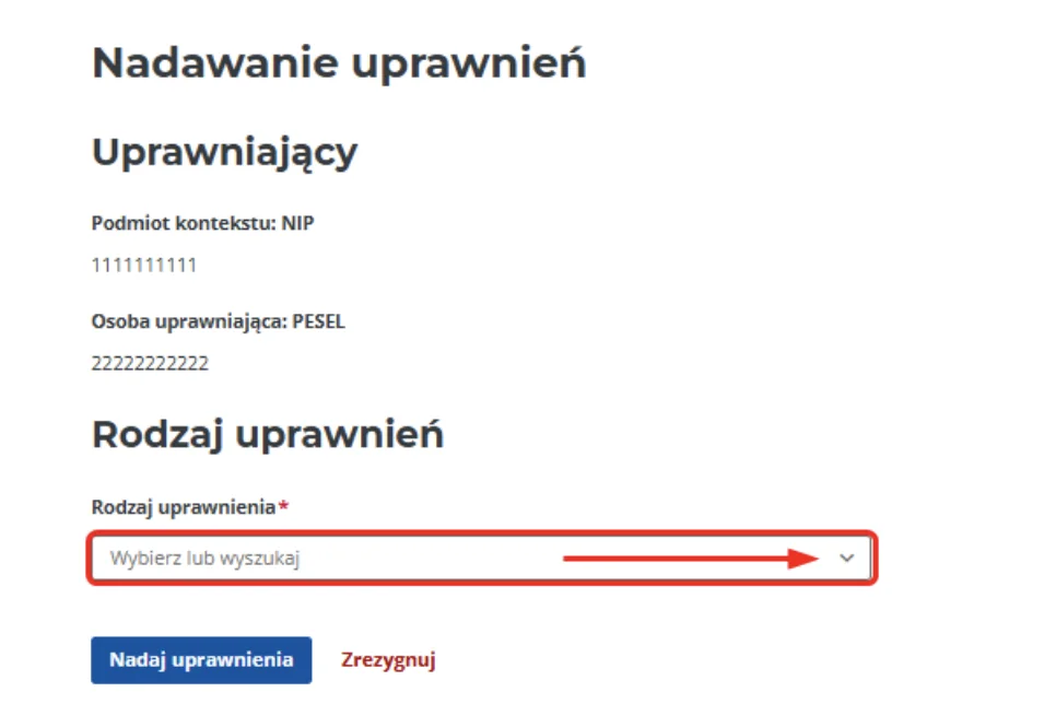 Ekran Nadawanie uprawnień w Aplikacji Podatnika KSeF z polem Rodzaj uprawnienia