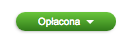 Opłacona
