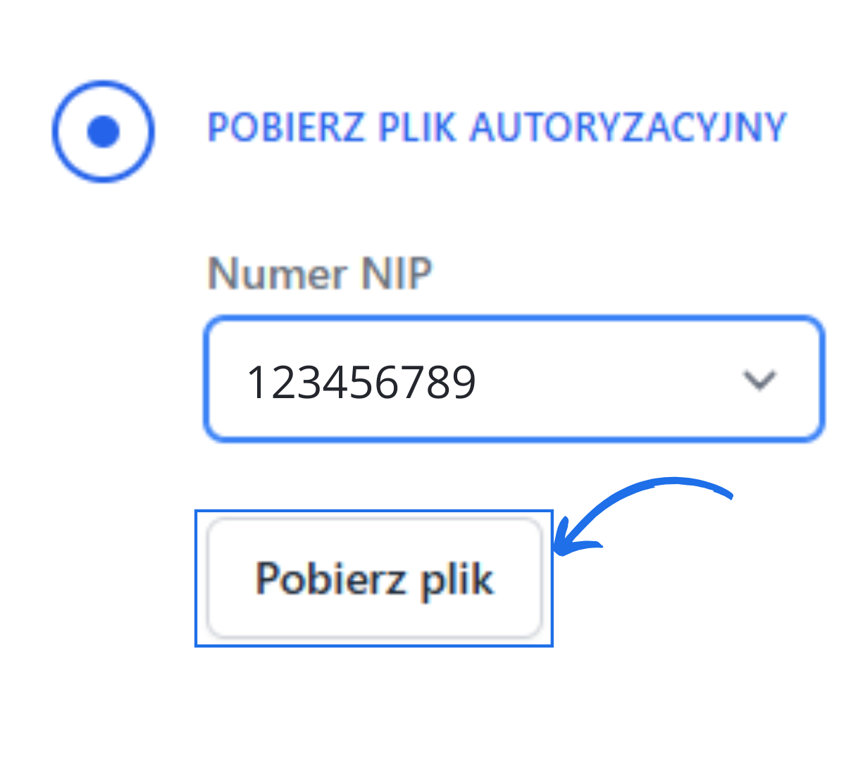 Przycisk Pobierz plik w sekcji generowania pliku autoryzacyjnego dla wybranego numeru NIP w integracji KSeF w Fakturowni.