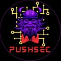 Logo firmy PUSHSEC