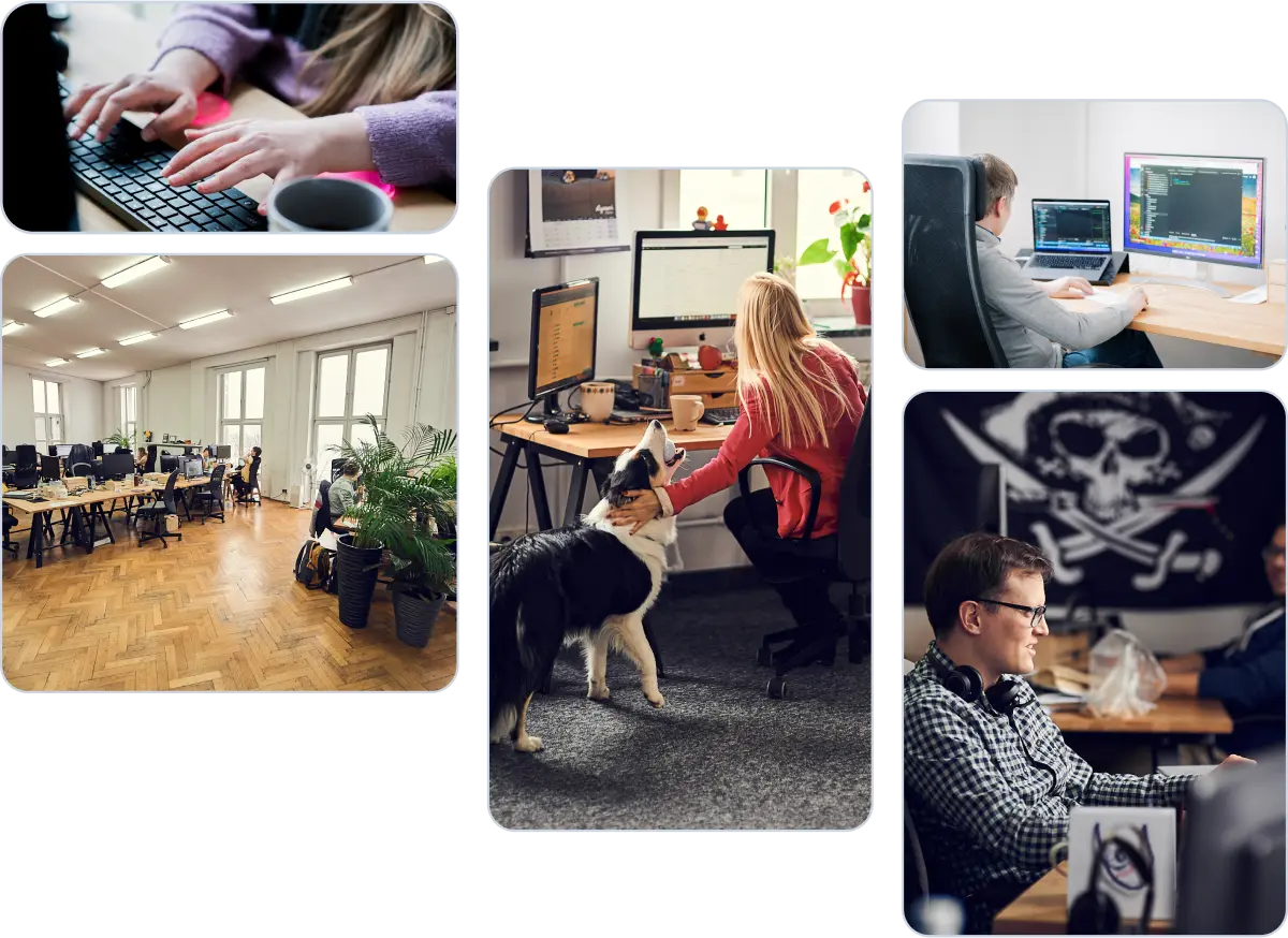 Kolaż zdjęć biura: open space, kobieta z psem border collie, programista w słuchawkach