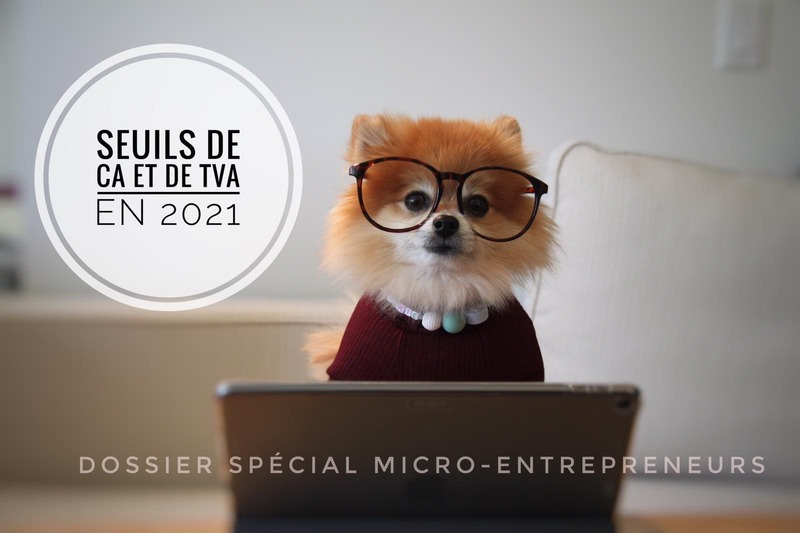 [Auto-entrepreneurs | Micro-entrepreneurs] Seuils de CA et TVA en 2021 | France