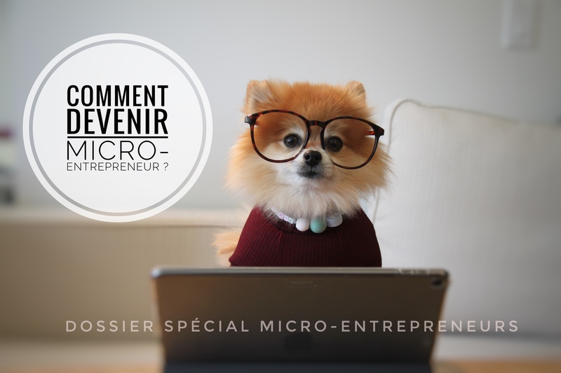 [Auto-entrepreneurs | Micro-entrepreneurs] Comment devenir micro-entrepreneur ? | France 
