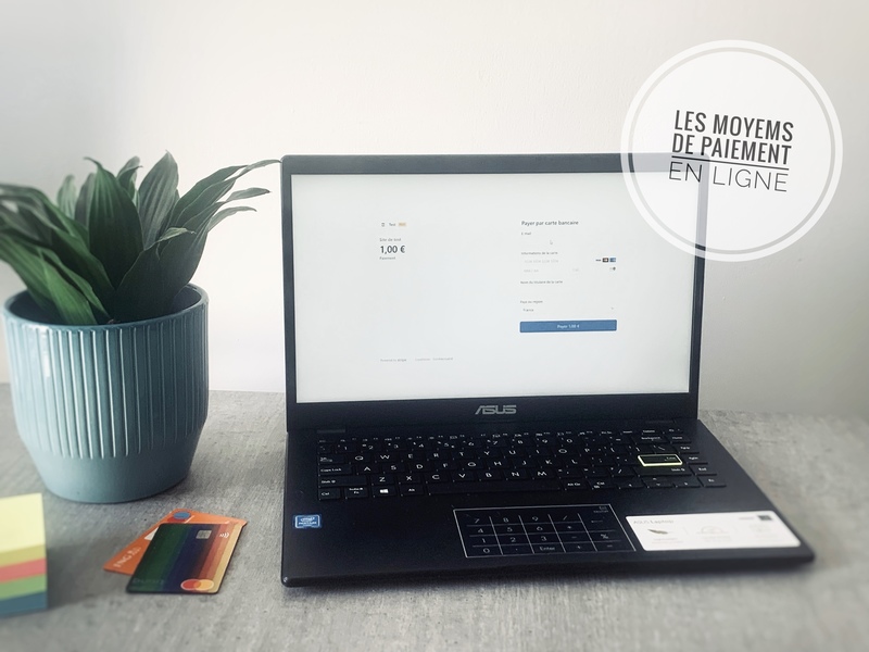 [Facturation | E-commerce] Les solutions de paiement en ligne | France 