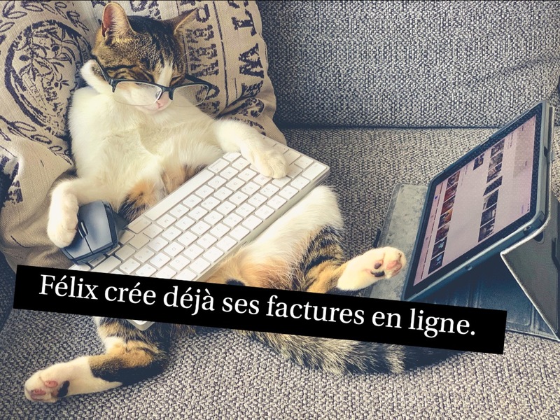 [Documents comptables et commerciaux] Pourquoi faire une facture en ligne ? | France